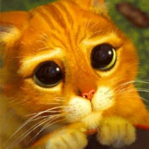 Meet your Posher, Monica